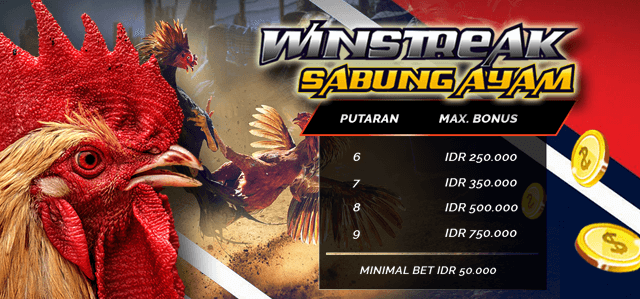 WINSTREAK SABUNG AYAM